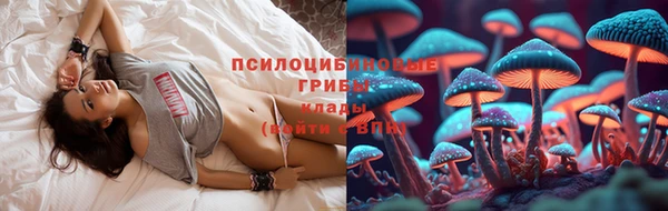 гидропоника Бородино