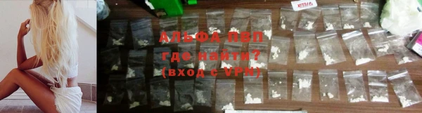 спиды Богородицк