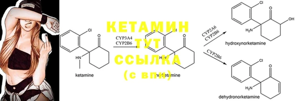 спиды Богородицк