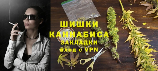 гидропоника Бородино