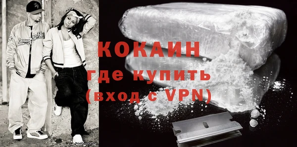 спиды Богородицк