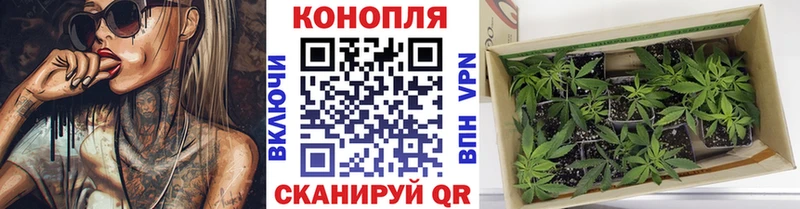 hydra ссылка  Северо-Курильск  Шишки марихуана MAZAR 